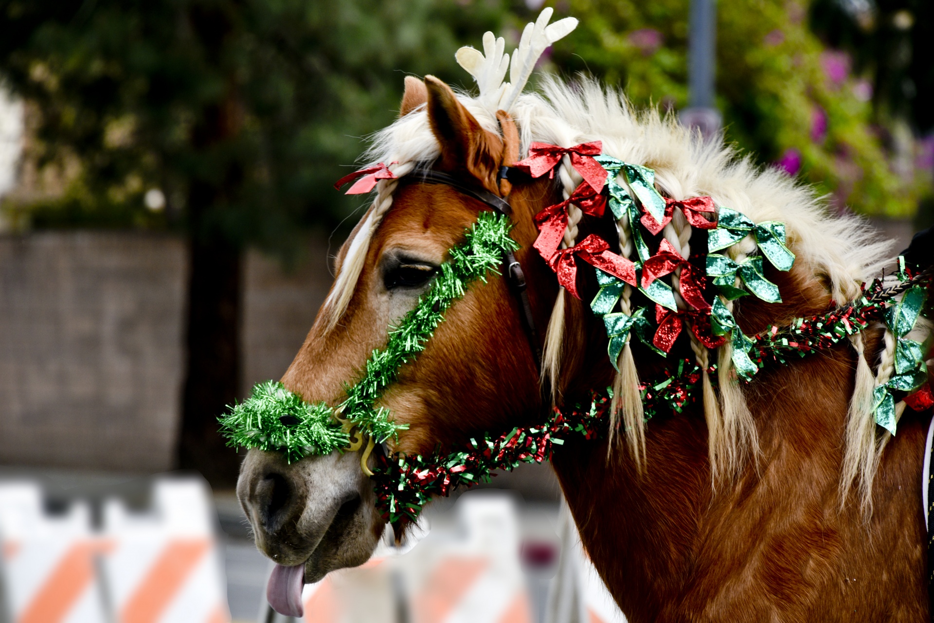 Christmas Horse